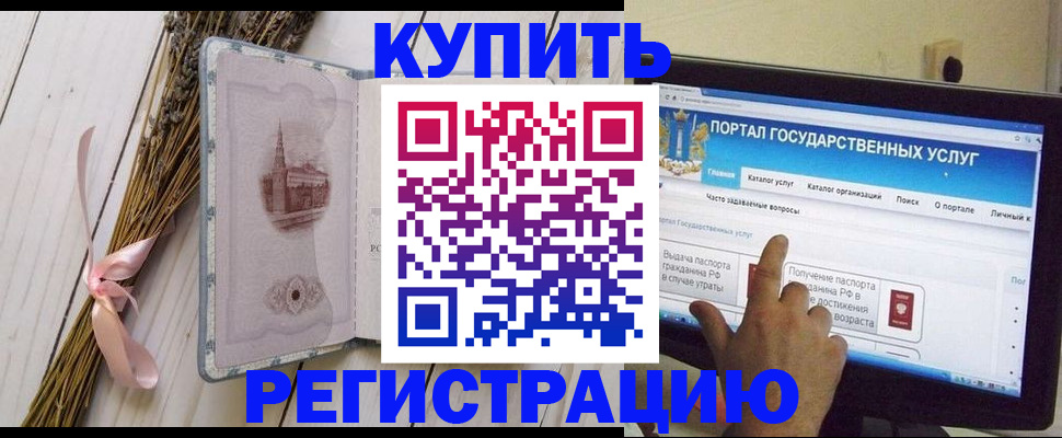 прописка поиск в Мытищах